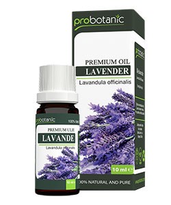 probotanic-lavanda