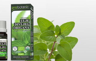 Ulje divljeg origana 7