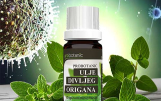 Antikancerogeno delovanje ulja divljeg origana 1 Antikancerogeno-delovanje-ulja-divljeg-origana
