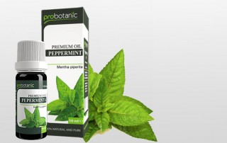 Ulje peperminta 12