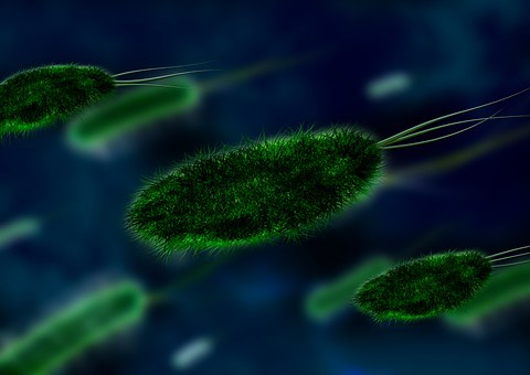 otpornost bakterija na antibiotike