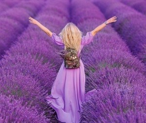 lavanda1 | Probotanic