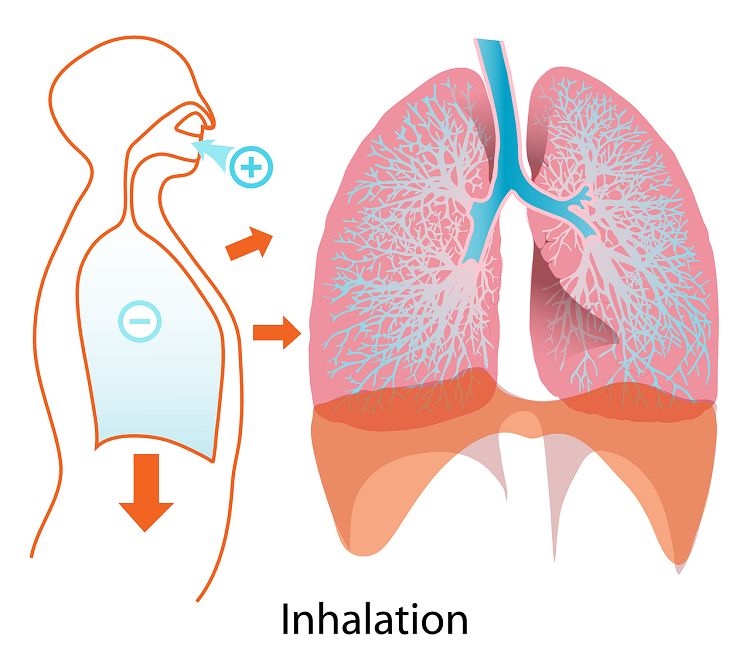 pluca inhalacija astma-compressed