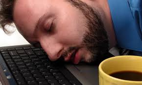 san | Probotanic san