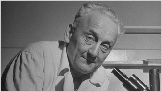 dr Albert Szent-Gyorgyi