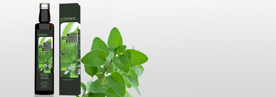 Probotanic Wild Oregano water